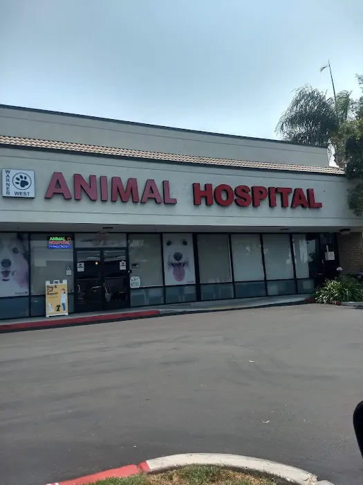 Warner West Pet Clinic Picture 9