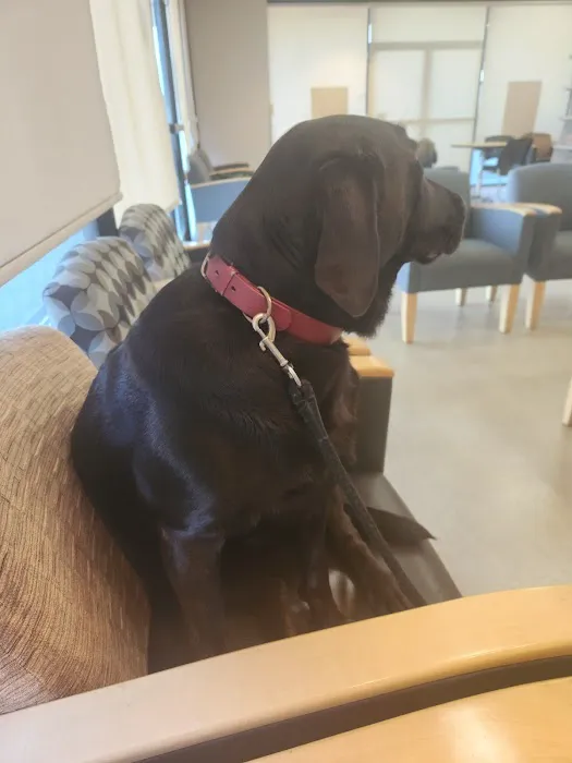 Warner West Pet Clinic Picture 8