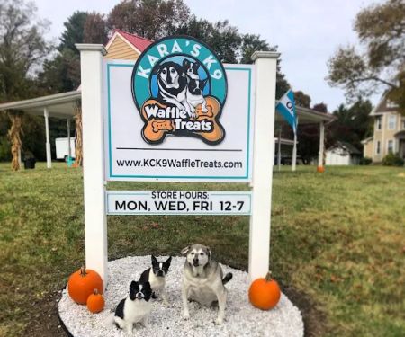 Karau2019s K9 Waffle Treats
