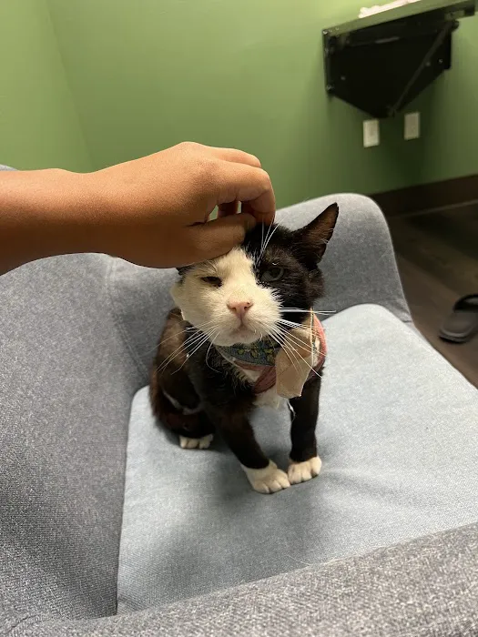 Sunstone Animal Hospital Picture 2