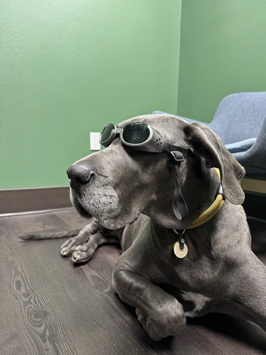 Sunstone Animal Hospital Picture 1