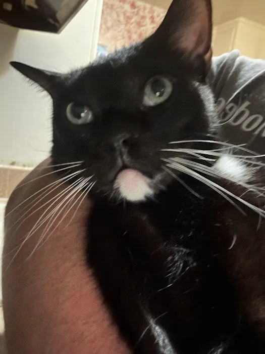 Sunstone Animal Hospital Picture 3