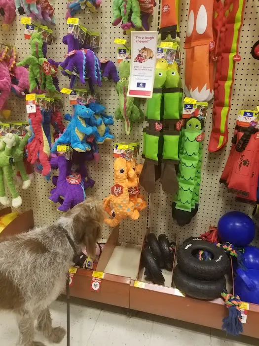 Petco Picture 6