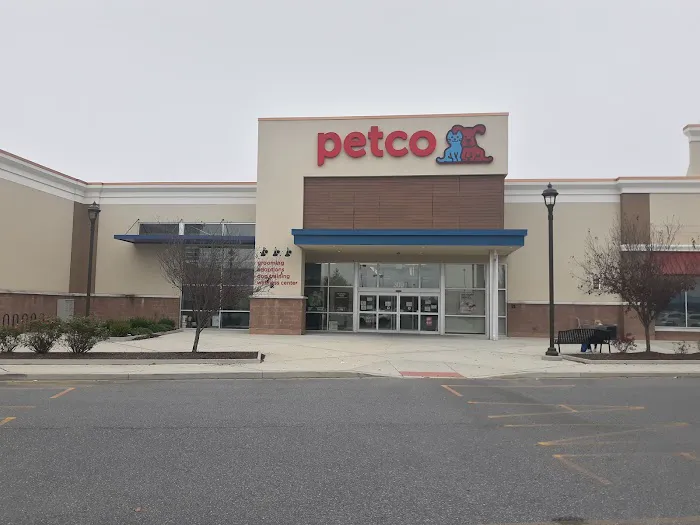 Petco Picture 8