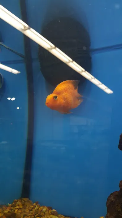 Petco Picture 2
