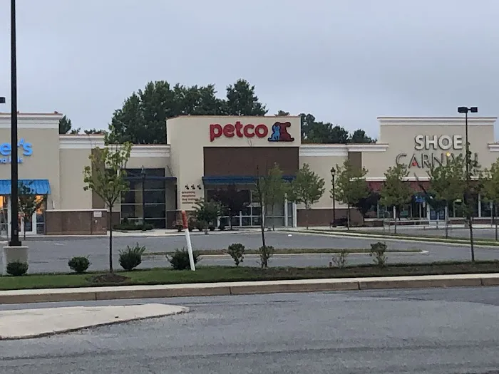 Petco Picture 4