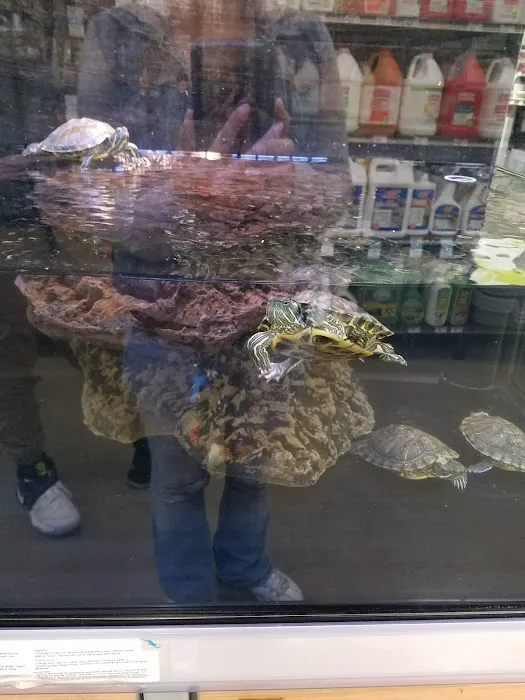 Petco Picture 9