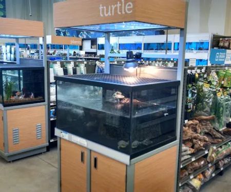 Petco