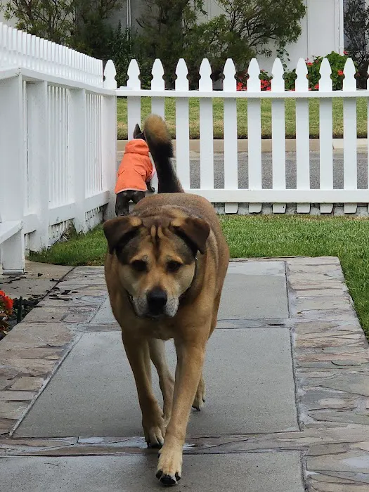 Surf City Pet Hospital Picture 9