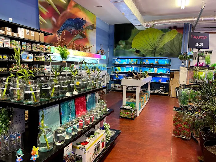 Fintopia - Aquatics Super Store (Super Cichlids) Picture 1