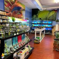 Fintopia - Aquatics Super Store (Super Cichlids) ico