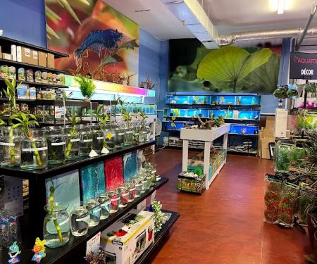 Fintopia - Aquatics Super Store (Super Cichlids)