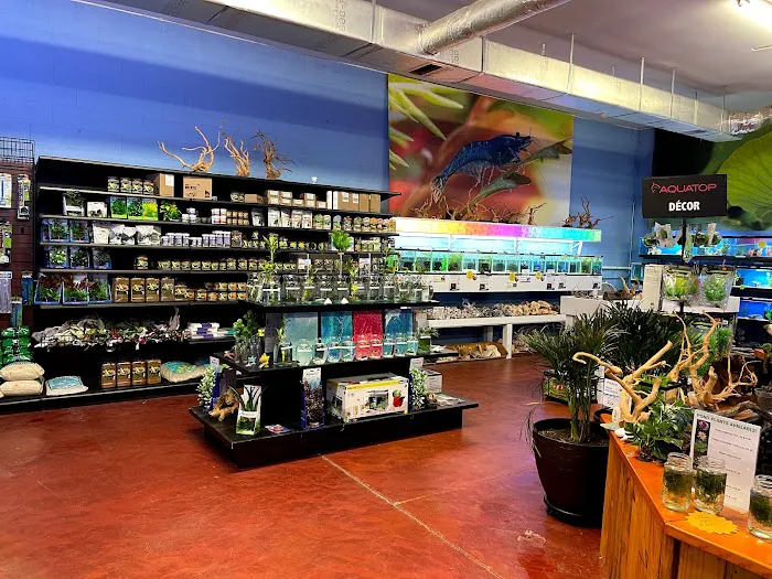 Fintopia - Aquatics Super Store (Super Cichlids) Picture 5