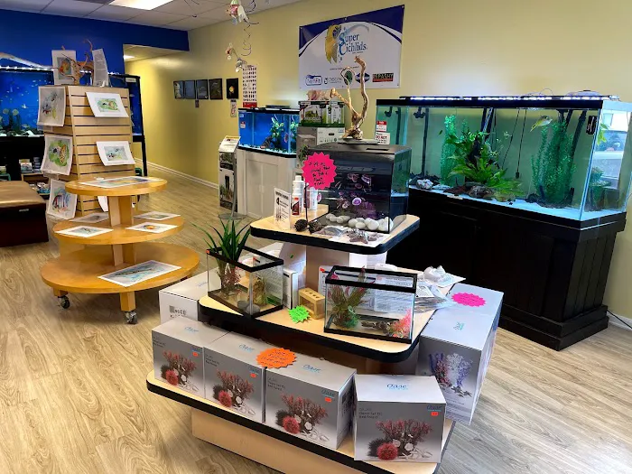 Fintopia - Aquatics Super Store (Super Cichlids) Picture 9