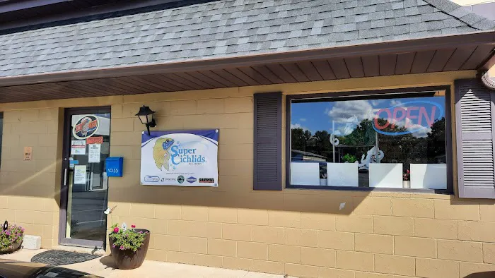 Fintopia - Aquatics Super Store (Super Cichlids) Picture 2