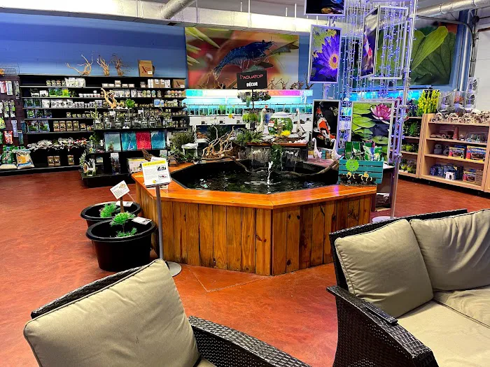 Fintopia - Aquatics Super Store (Super Cichlids) Picture 7