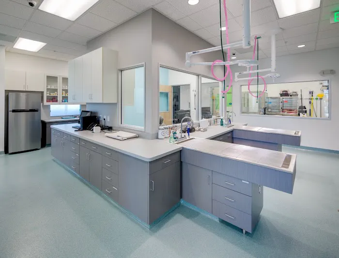 Tustin Legacy Animal Hospital Picture 6