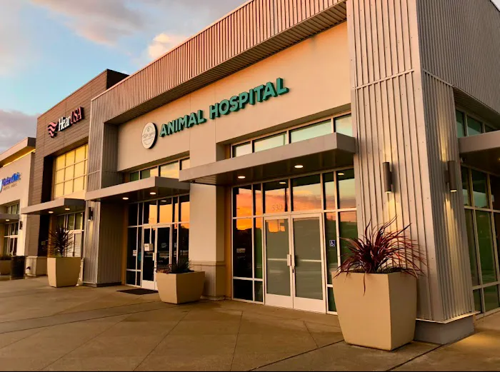 Tustin Legacy Animal Hospital Picture 3