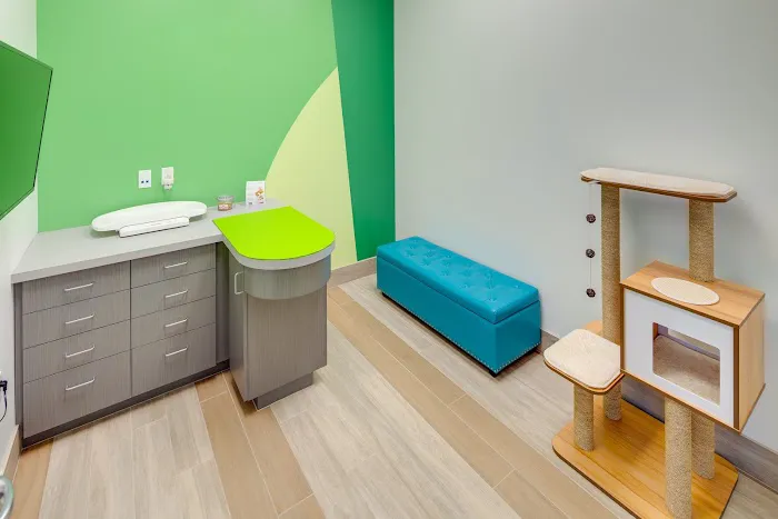 Tustin Legacy Animal Hospital Picture 7