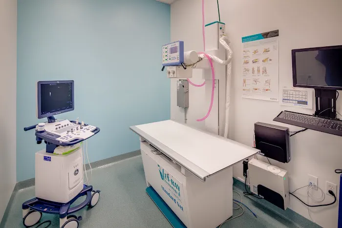 Tustin Legacy Animal Hospital Picture 9