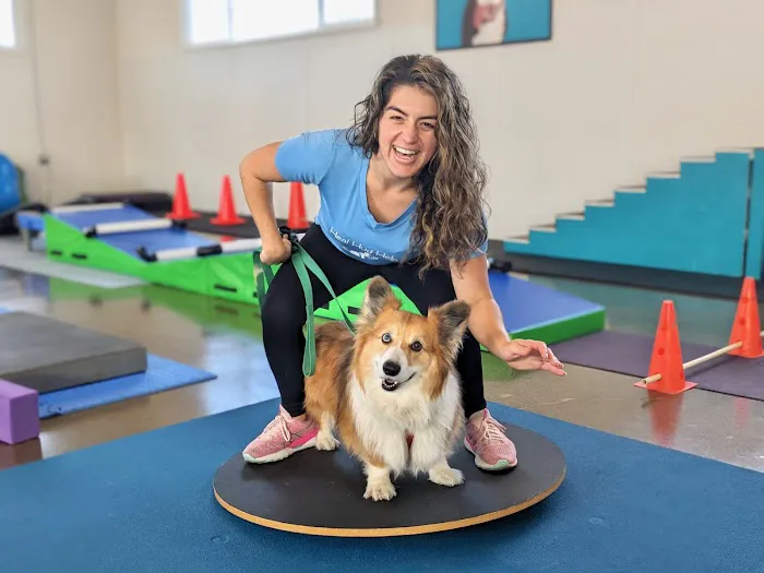 Canine Rehabilitation Of Orange County Picture 1