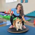 Canine Rehabilitation Of Orange County