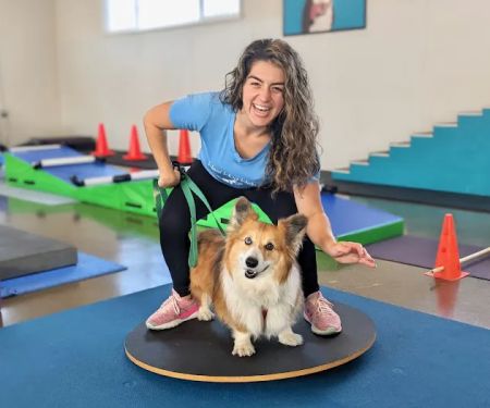 Canine Rehabilitation Of Orange County