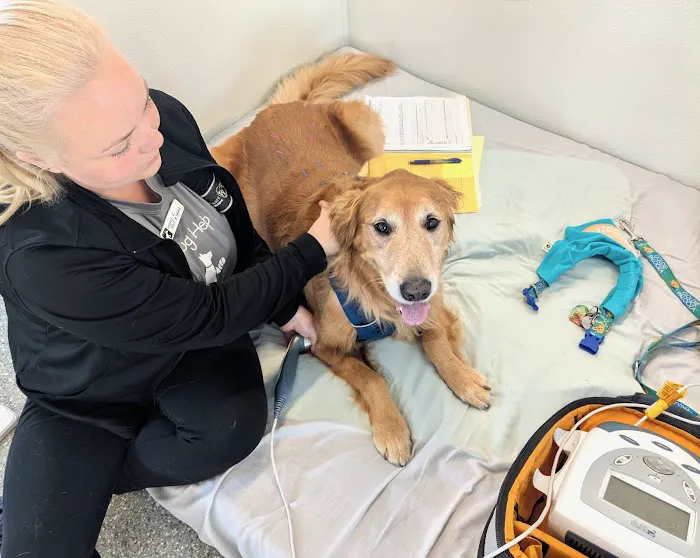 Canine Rehabilitation Of Orange County Picture 4