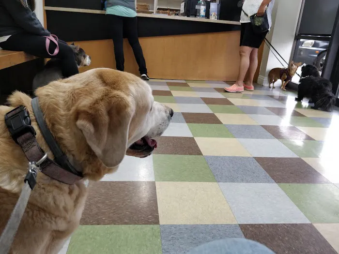 Alton Main Animal Hospital Picture 6