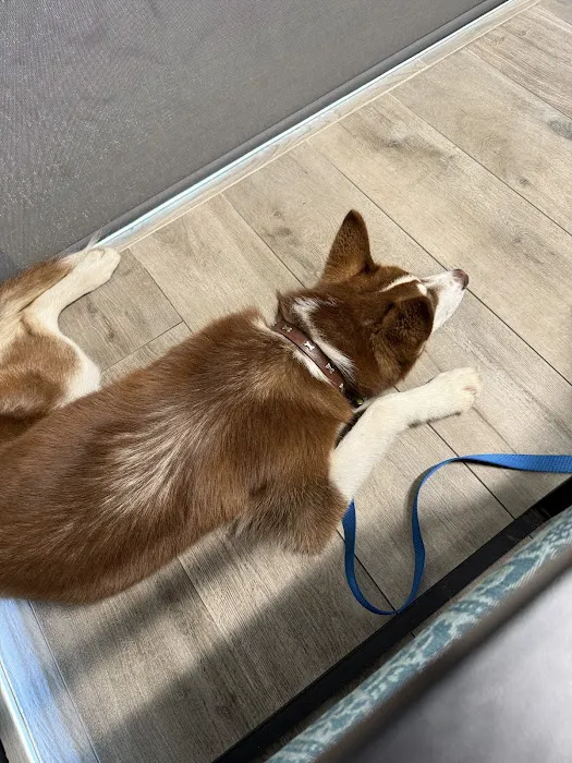 Culver Pet Clinic Picture 3