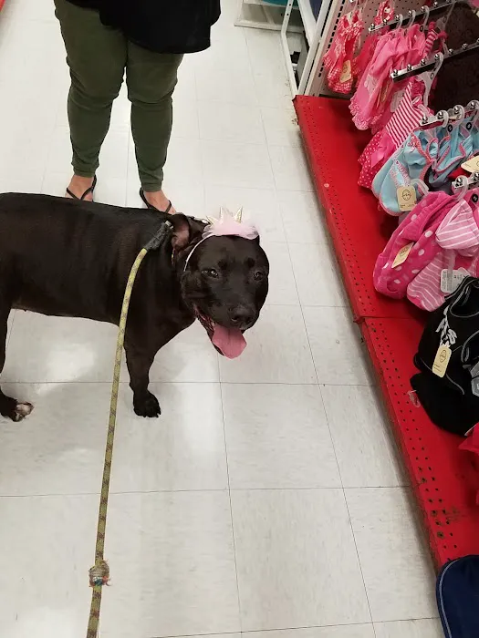 Petco Picture 3