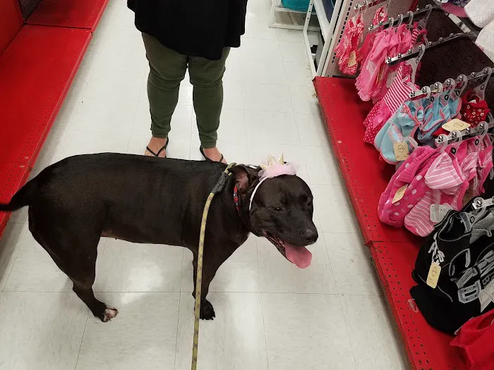 Petco Picture 2