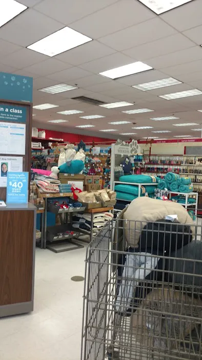 Petco Picture 1