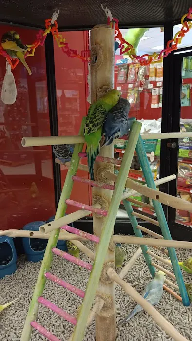 Petco Picture 7