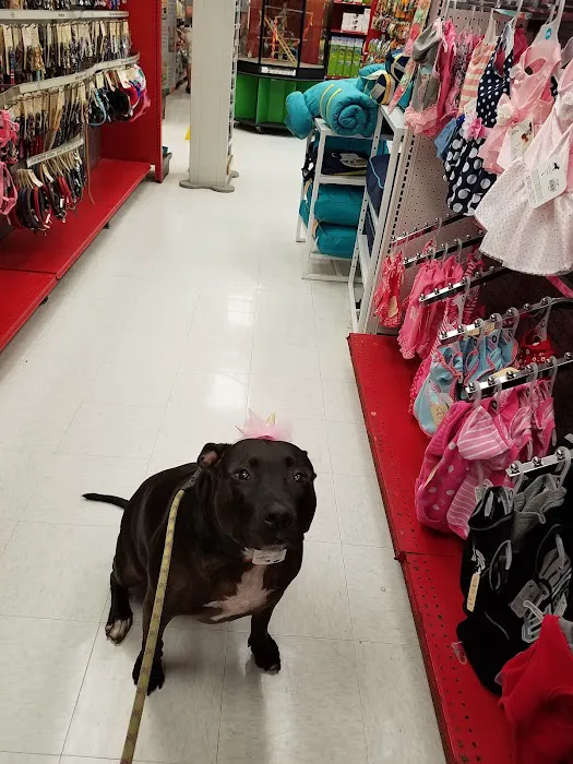 Petco Picture 4
