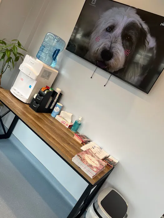 Sora Animal Hospital Picture 7