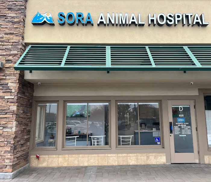 Sora Animal Hospital Picture 6
