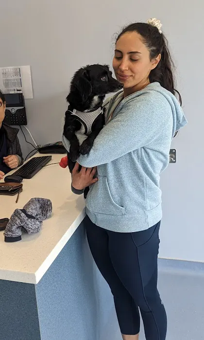 Sora Animal Hospital Picture 5