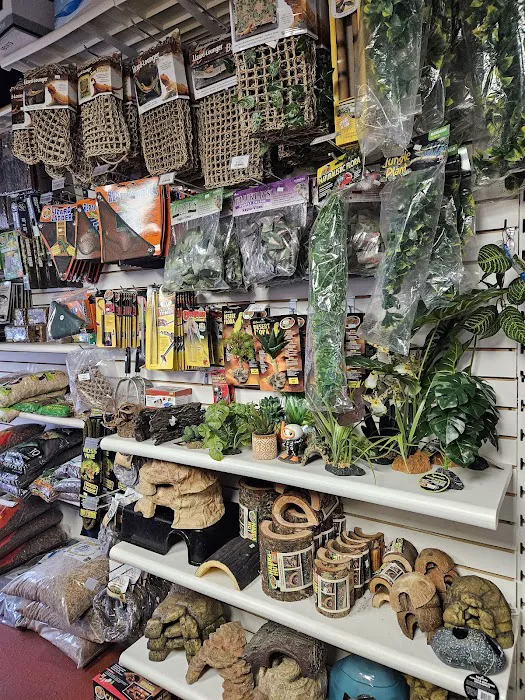 Jay's Exotic Reptiles & Plants Picture 2