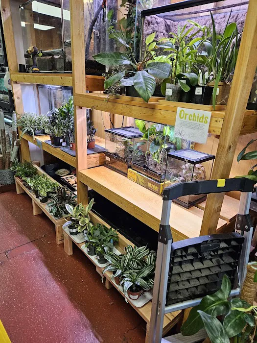 Jay's Exotic Reptiles & Plants Picture 3