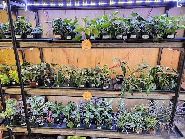 Jay's Exotic Reptiles & Plants Picture 1