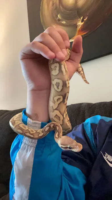 Jay's Exotic Reptiles & Plants Picture 4