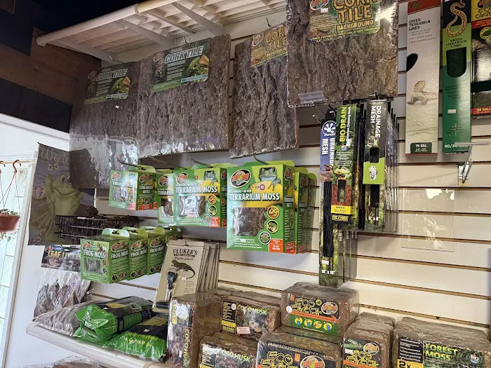 Jay's Exotic Reptiles & Plants Picture 9