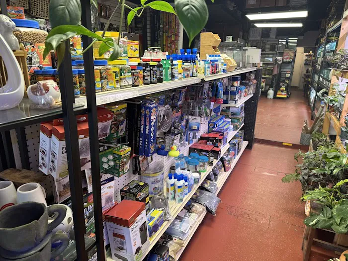 Jay's Exotic Reptiles & Plants Picture 8