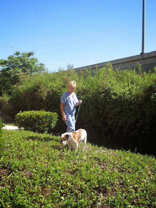 Animal Hospital of Irvine Picture 2
