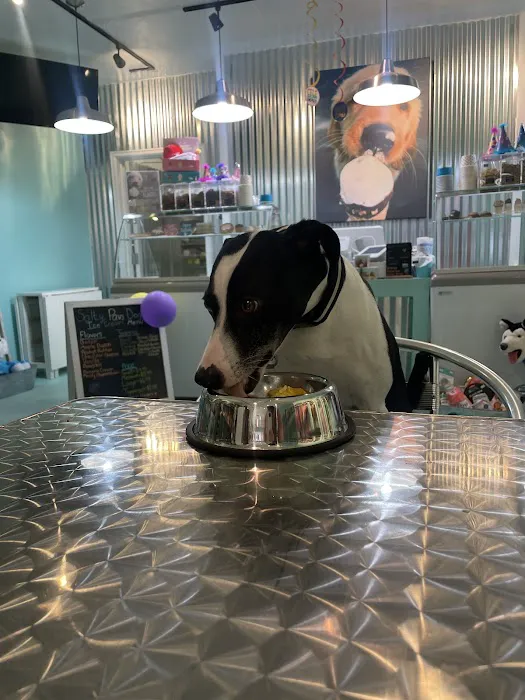 Salty Paws Philly (formerly RittenhouseSquare) Picture 4
