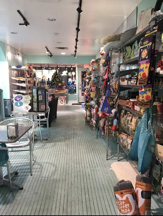 Salty Paws Philly (formerly RittenhouseSquare) Picture 2