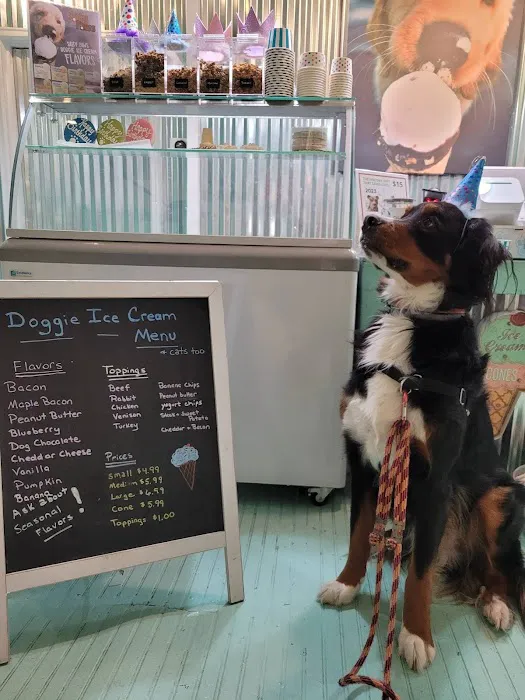 Salty Paws Philly (formerly RittenhouseSquare) Picture 5