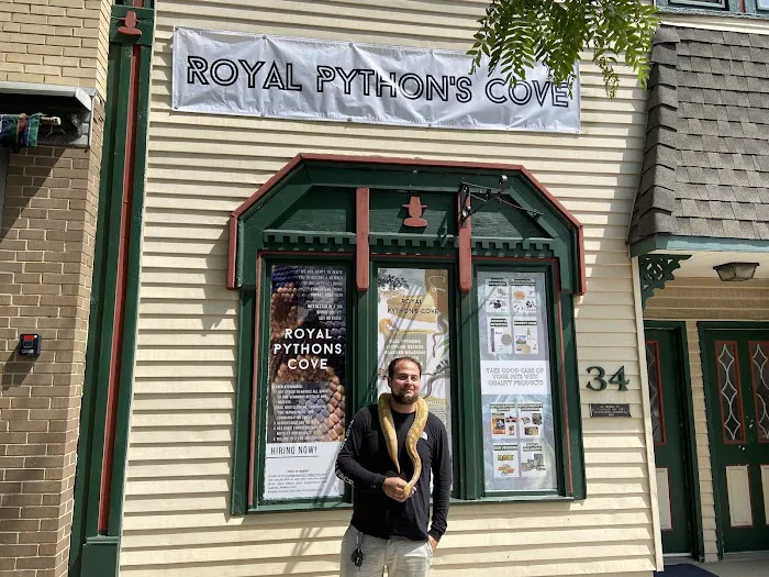 Royal Python's Cove Picture 5