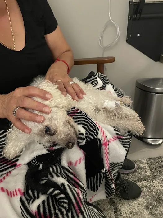 Echo Vet Cardio Picture 4